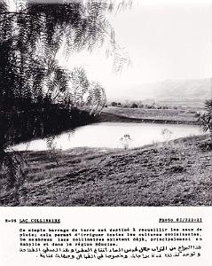 Algerie propagande 033